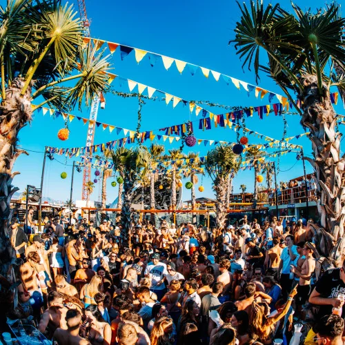 Papaya club at Zrće Beach